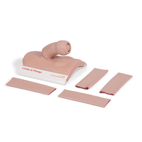 Adult Male Circumcision Trainer - Light